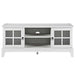 Isle 47" TV Stand in White