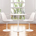Tulip 36" Wood Top Dining Table & Chairs Set